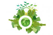 sustainability, energy, tree