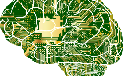 Event 11Th December Brain Drain Brain Gain Local And Regional Experience