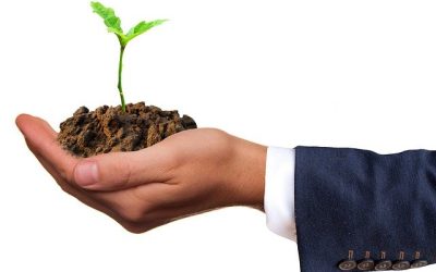 Launch New Digital Bioeconomy Platform