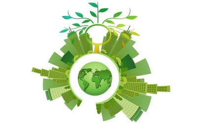 New Paper Bioeconomy Pilot Has Published Open Access Journal Sustainability