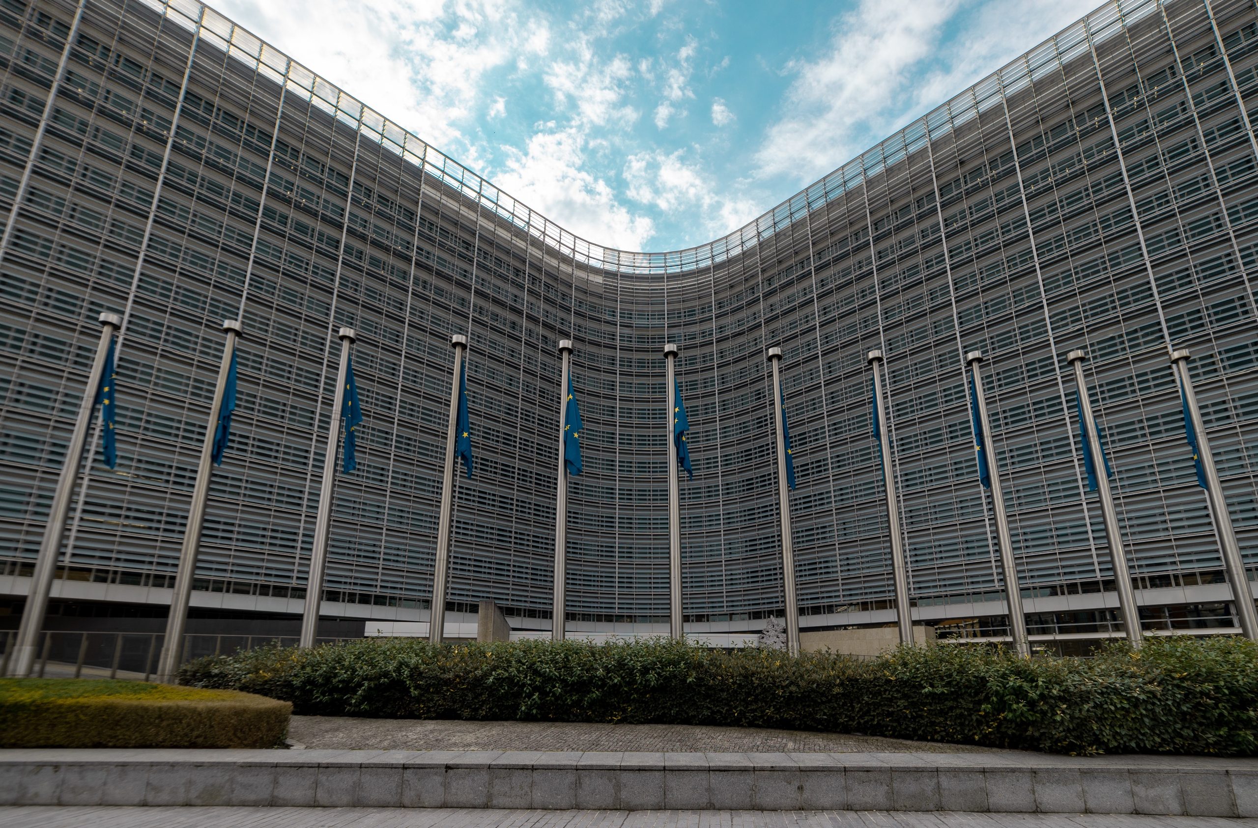 pexels-guillaume-meurice-2529185 (2)