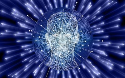 Ai Pilot Plenary Meeting