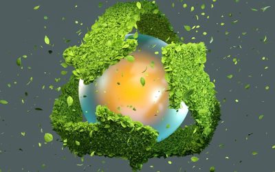 Esm Plenary Event Achievements 2021 And Future Plans 2022