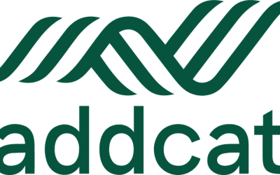 Sme Success Stories Within Vanguard Initiative Interview Representative Addcat Bv