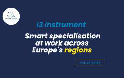 mart specialisation at work: our new brief on the I3 Instrument